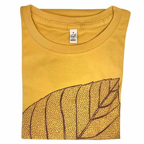 Skeleton Leaf