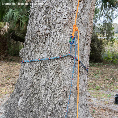 corde bleu-noir chainANCHOR avec marquages rouges et œillet métallique, enroulée autour d’un arbre attaché avec une corde orange et un mousqueton