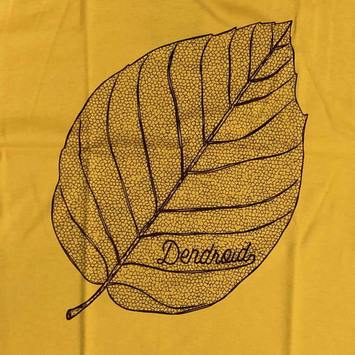 Skeleton Leaf